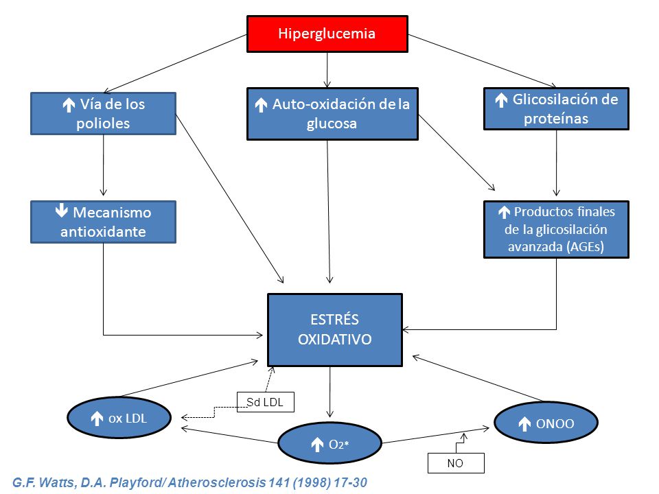 diabetes de glicosilación de autooxidación